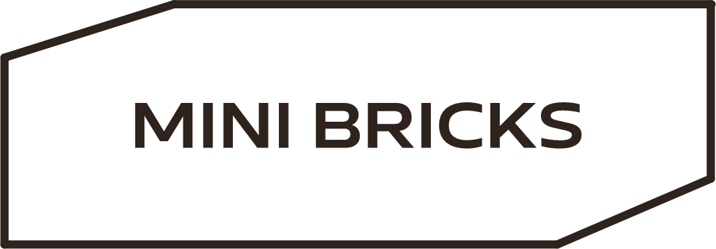 Mini Bricks
